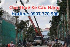 Cho Thuê Xe Cẩu Hàng Theo Giờ