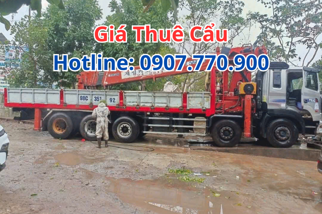 Giá thuê cẩu