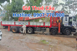 Giá thuê cẩu