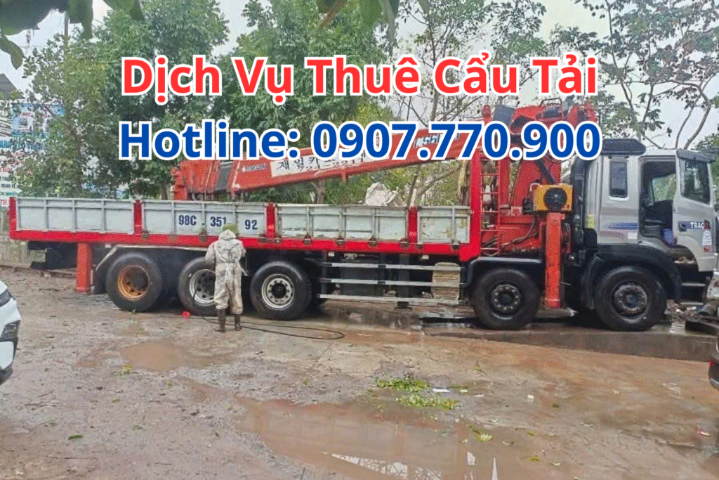 Dịch Vụ Thuê Cẩu Tải