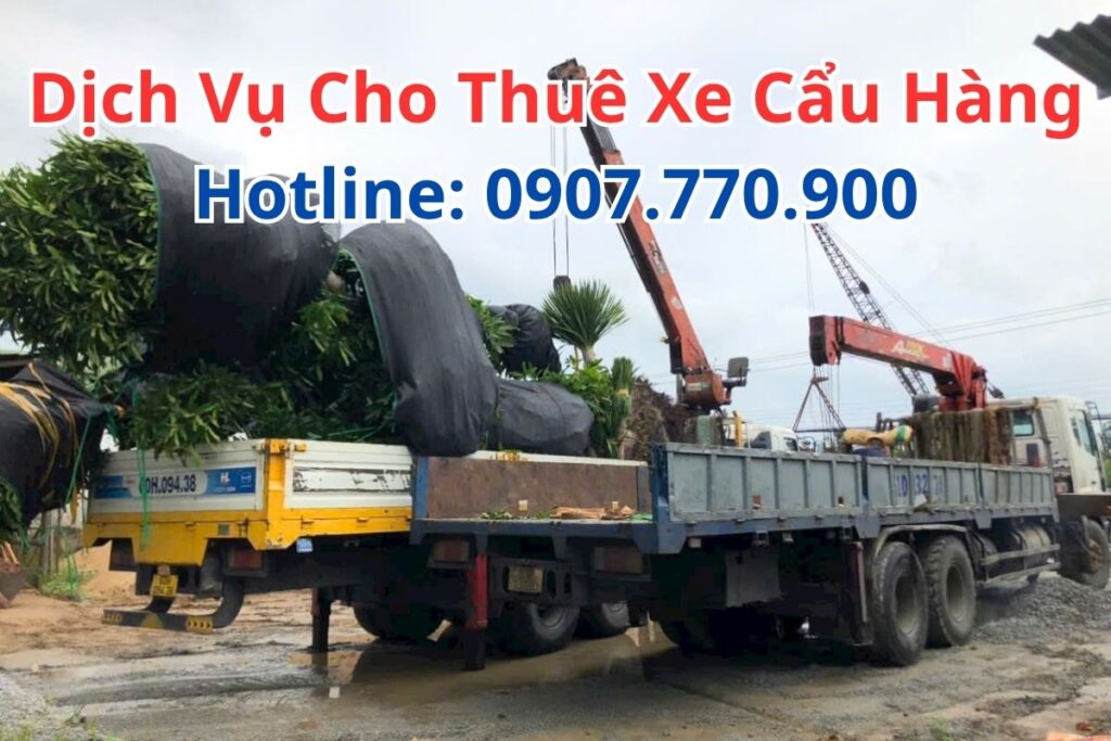 Dịch vụ cho thuê xe cẩu hàng