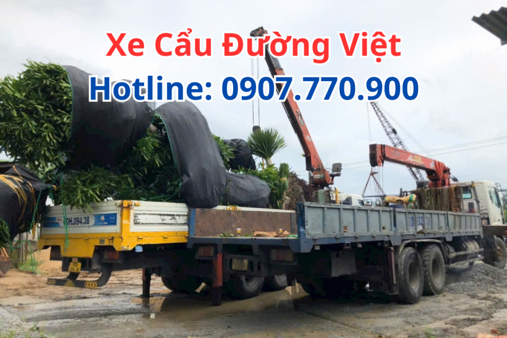 Kinh Nghiệm Khi Thuê Xe Cẩu