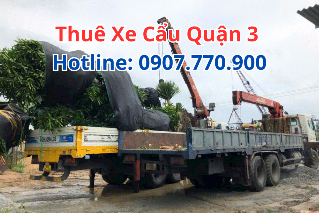 Thuê Xe Cẩu Quận 3