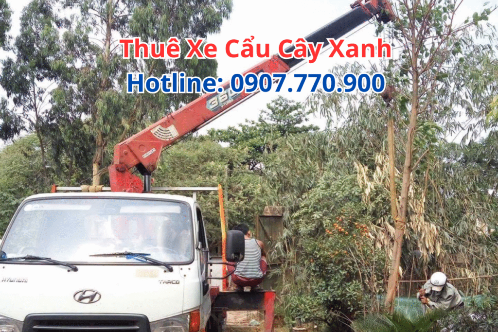 Thuê Xe Cẩu Cây Xanh