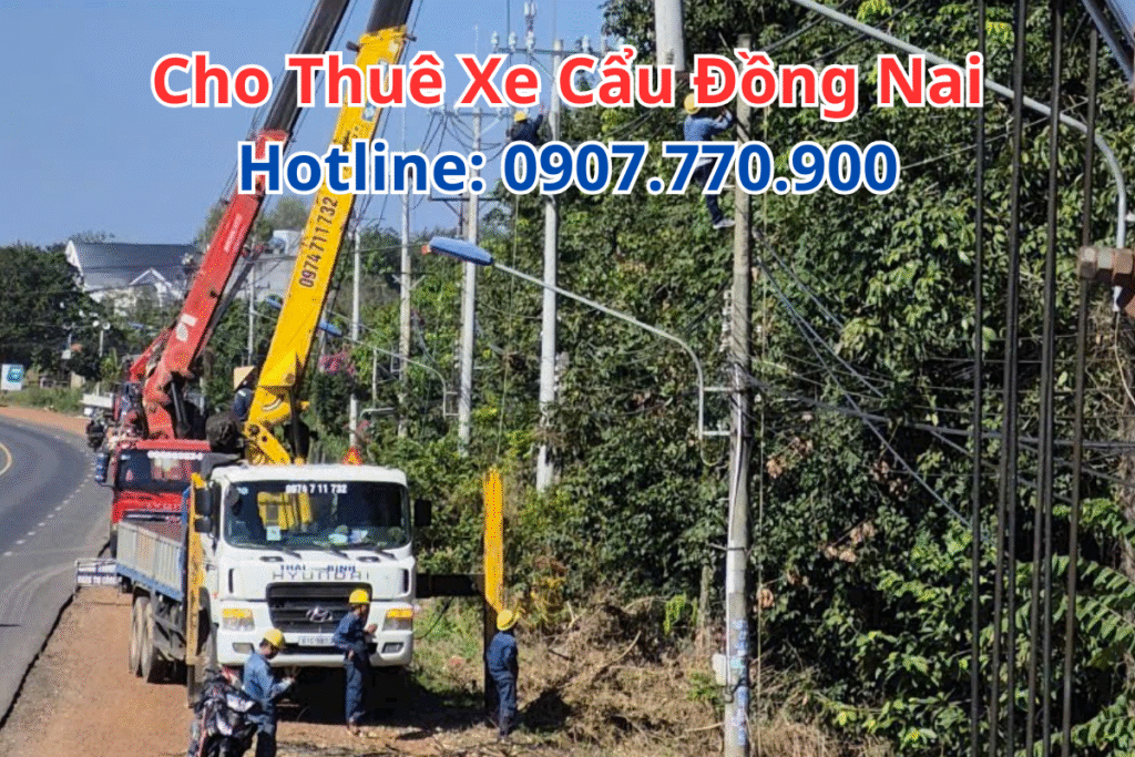 Thuê Xe Cẩu Đồng Nai