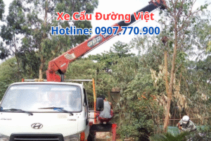 Thuê Xe Cẩu Theo Tháng