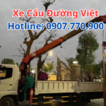 Dịch Vụ Cẩu Hàng Ban Đêm