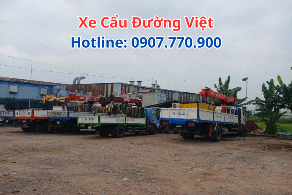 Tìm Đơn Vị Cẩu Hàng