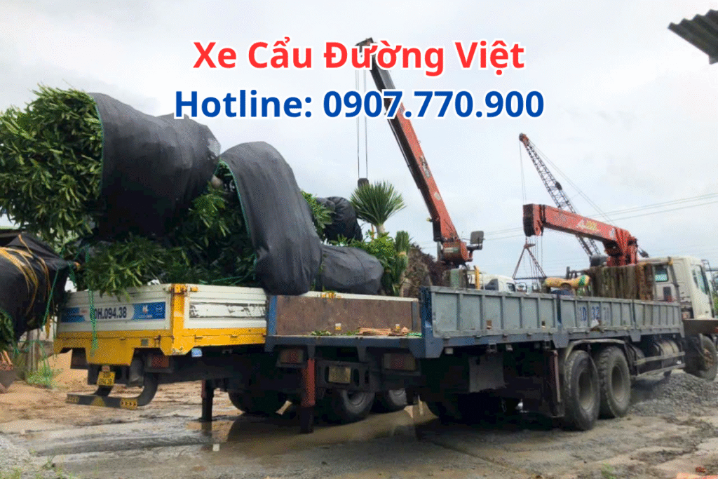 Thuê Xe Cẩu Nhà Bè