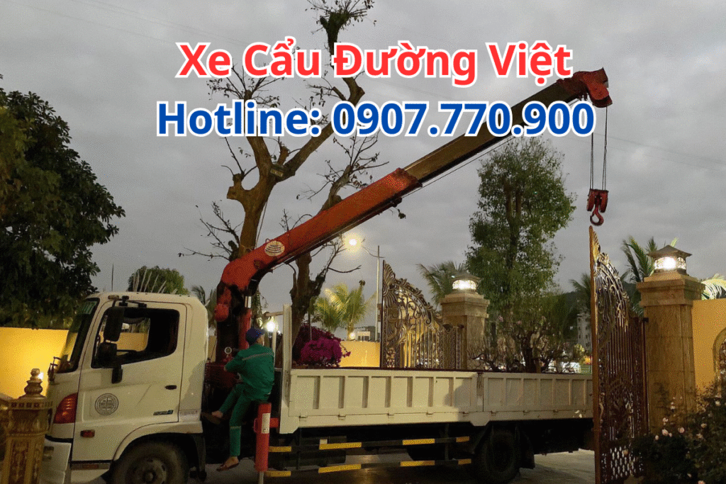 Thuê Xe Cẩu Long Thành