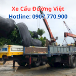 Xe Cẩu Cây Kiểng Giá Rẻ Tại TPHCM